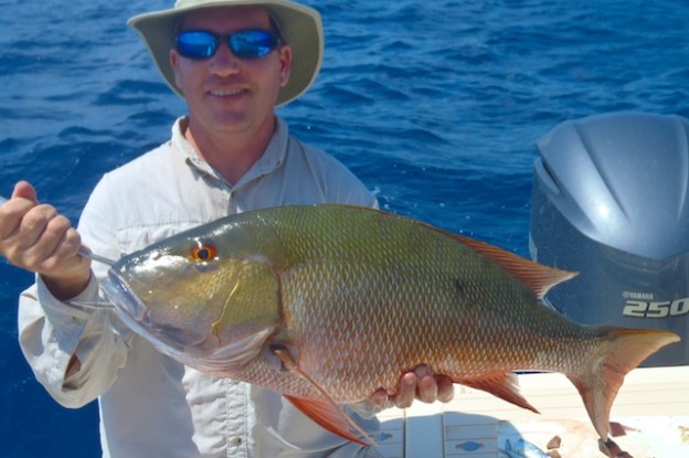 Mutton Snapper Fillets Crispy Mutton Snapper with Cilantro Garlic Sauce - Suwannee Rose