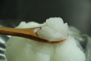 coconut key lime ice (4)