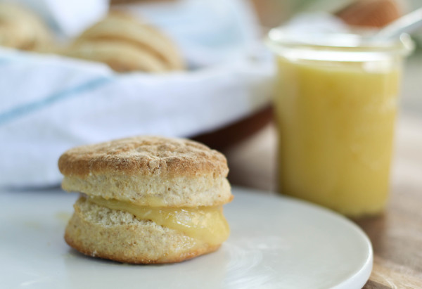 Honey & Meyer Lemon Curd | Suwannee Rose