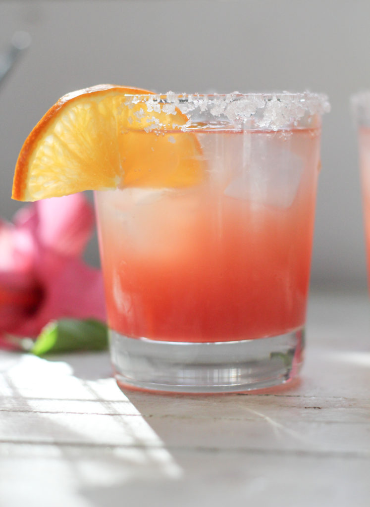 Honeybell Hibiscus Margaritas - Suwannee Rose